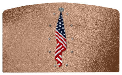 DACRO-421-SH-BZ Flag at Rest Shimmer Bronze